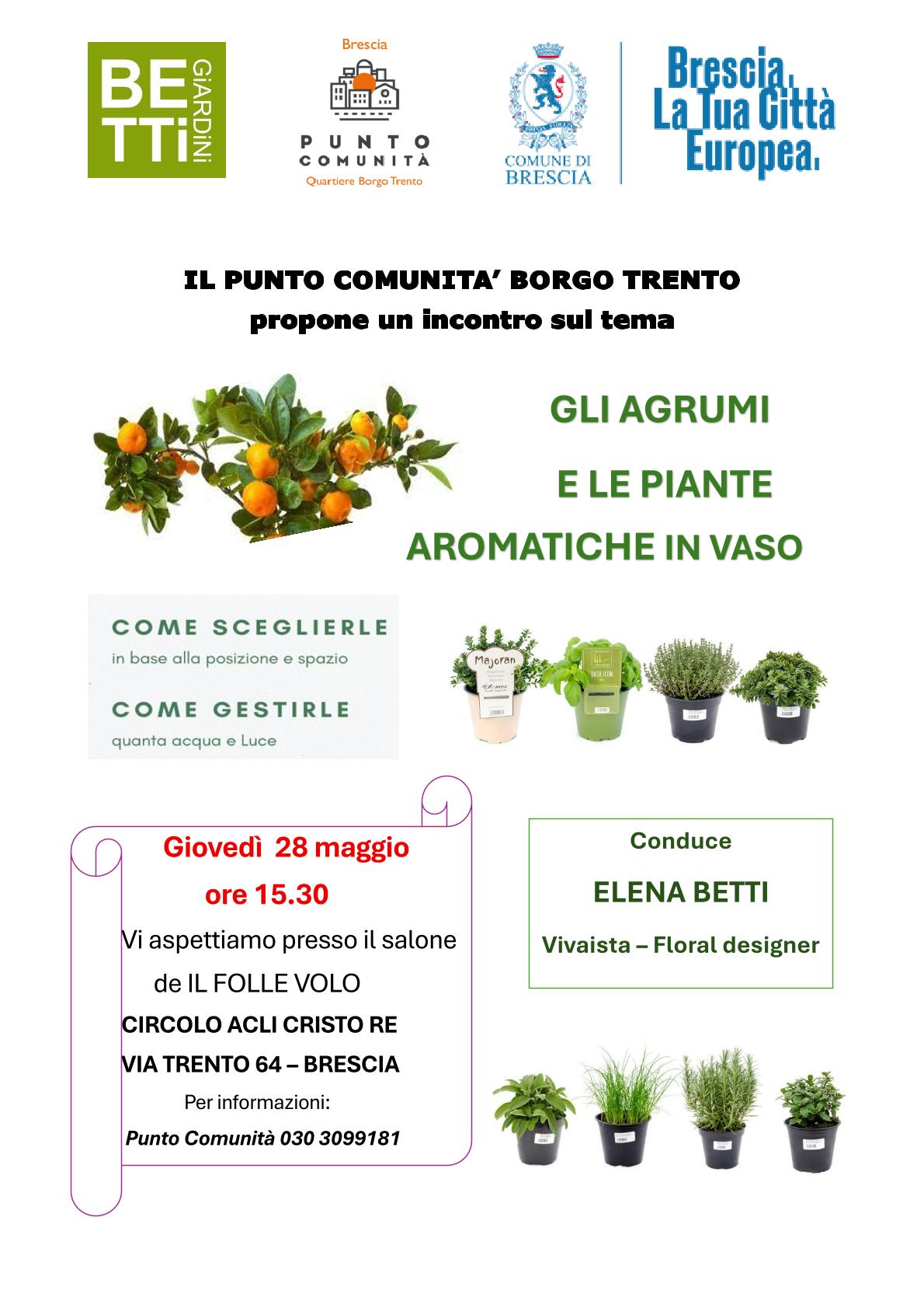 Agrumi piante aromatiche