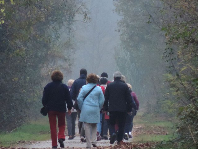 Gruppo Cammino 2015/2016