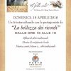 La Bellezza dei Ricordi - 2018