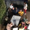The Old Gold Band - 2019